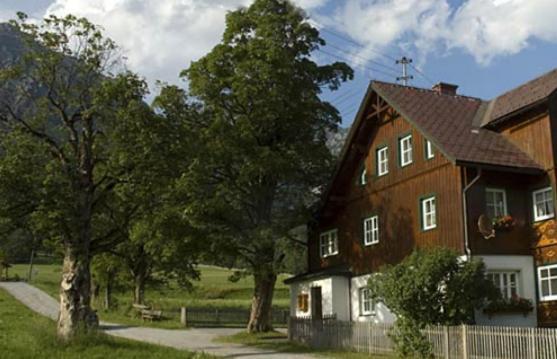 Appartements Wieseneck - Ramsau Am Dachstein - Inklusive Sommercard ! Ramsau am Dachstein Exterior photo